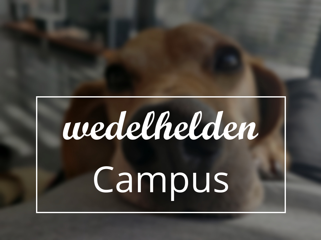 wedelhelden Campus
